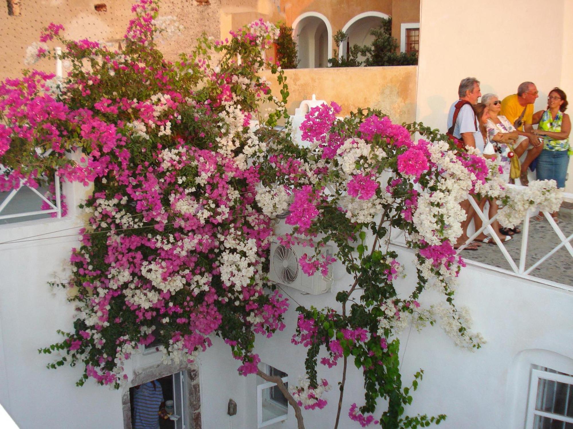 Santorini Paradise Cave Houses Oía Zewnętrze zdjęcie