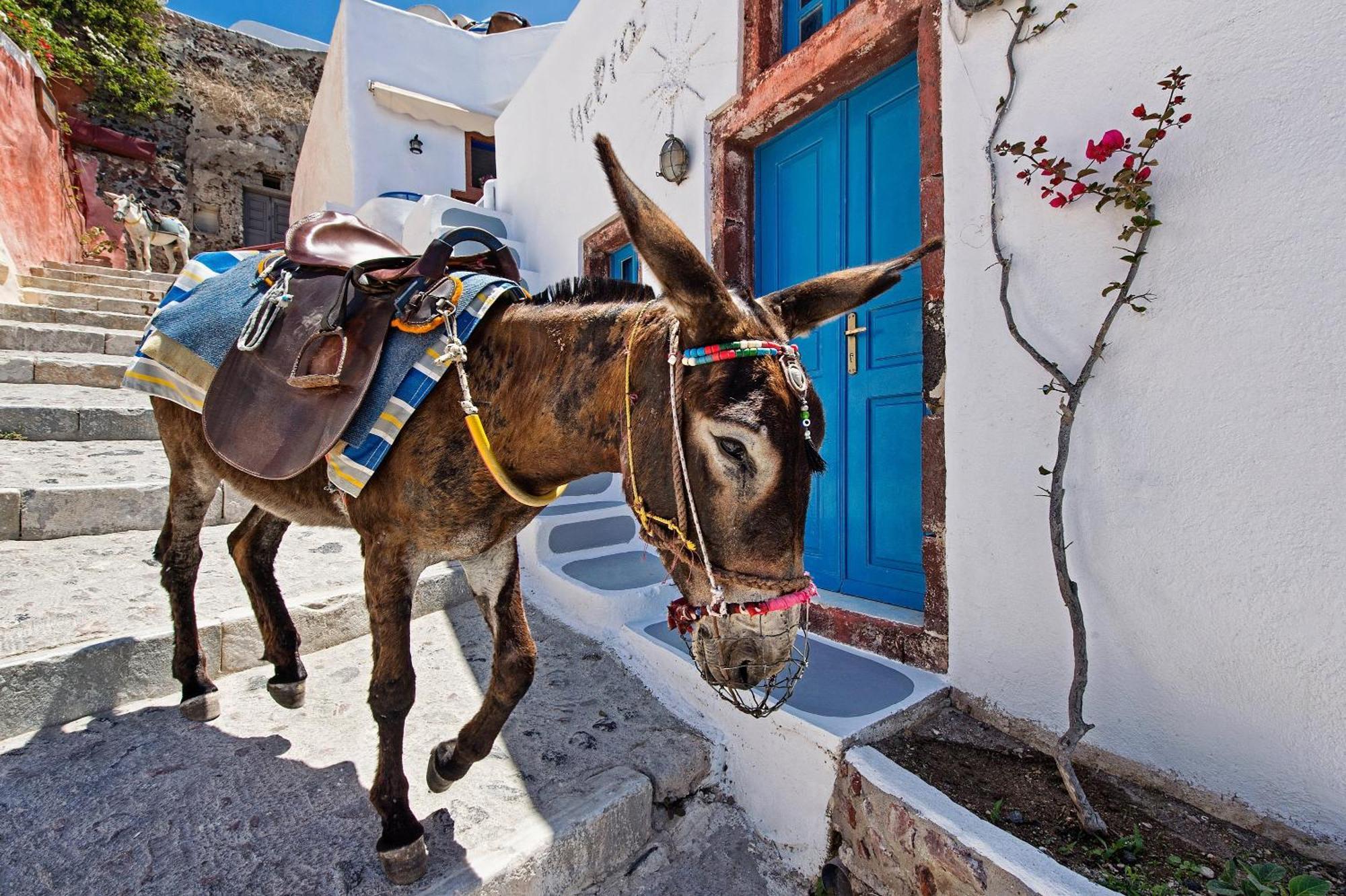 Santorini Paradise Cave Houses Oía Zewnętrze zdjęcie
